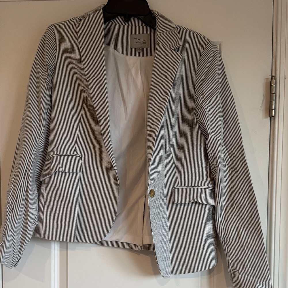 Dalia Pinstripe Blazer in Blue and White